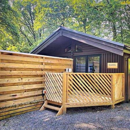 The Squirrel Lodge - Hot Tub - Pet Friendly - Pembrokeshire-Tenby Καρμάρθεν Εξωτερικό φωτογραφία